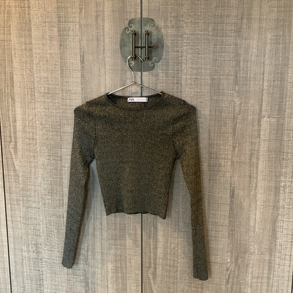 Zara - Metallic‎ Thread Knit Cropped Top - Picture 6 of 11